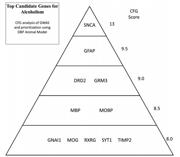 La comunidad del alcoholismo. Fuente: Levey et al., 2014