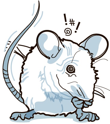 mousestress