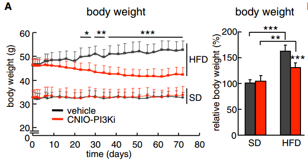 Reducción de la obesidad tras tratamiento a largo plazo. Representación gráfica del peso corporal durante los dos meses y medio que duró el tratamiento (izq.) y el peso corporal al final del tratamiento (dcha.) (Fuente: et al., 2015)