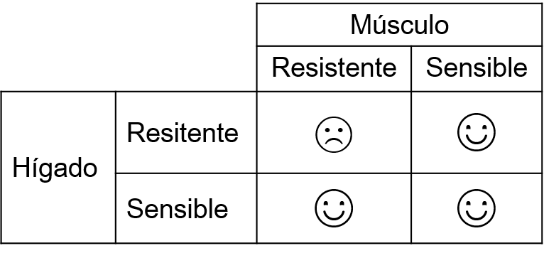 insulinresponse