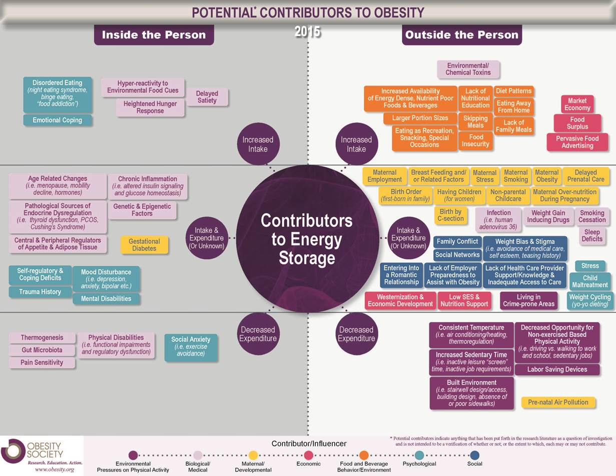 potential_contributors_to_obesity_2015_infographic