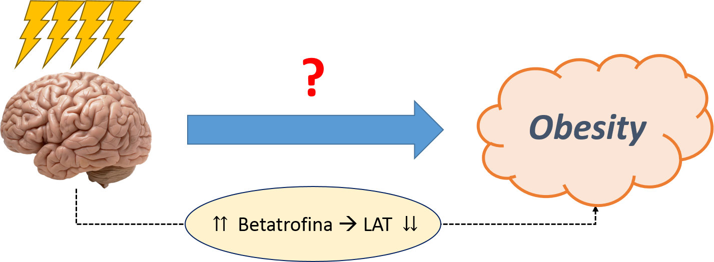 betatrofina