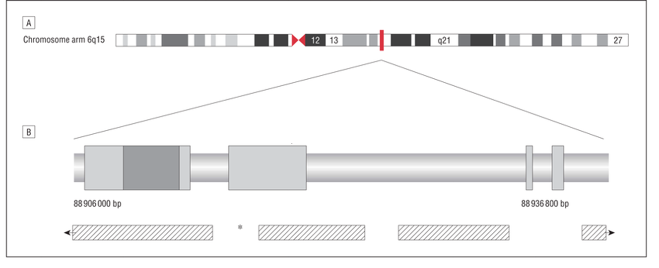 cnr1