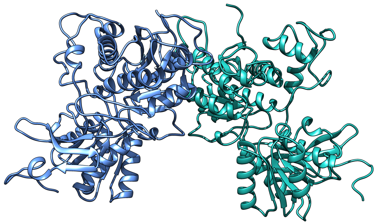 dimer-ecto