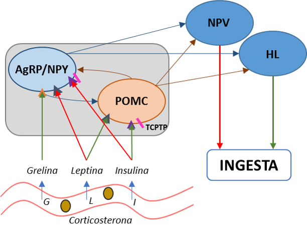POMCPCPTP