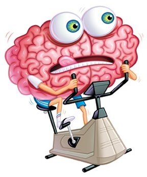 brainexer